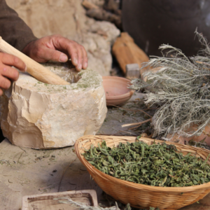 6-Month Family Systems Plan with Custom Herbal Blends — 90 m (per session)